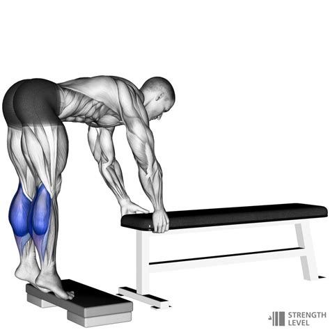 Caution: If you suffer from lower back problems, a better exercise is the calf press as during a standing calf raise the back has to support the weight being lifted. Also, maintain your back straight and stationary at all times. Rounding of the back can cause lower back injury. Variations: There are several other ways to perform a standing calf ...
